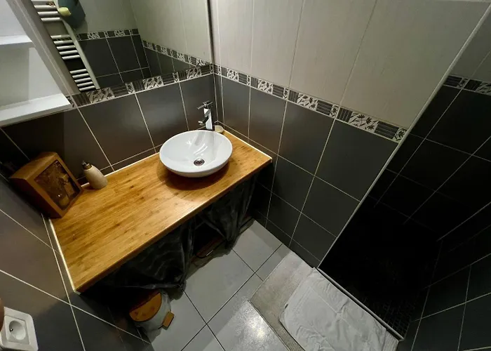 Le Saint-hilaire - Calme + Parking Apartment